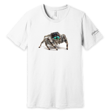 Load image into Gallery viewer, Nathan Jordan Photography - Jump Spider Tshirt
