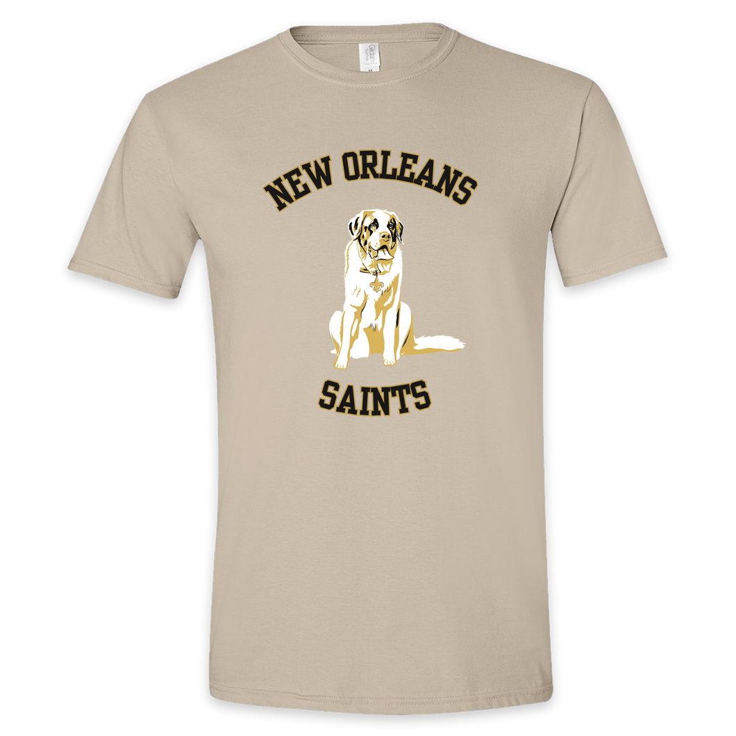 Haynesie Art - New Orleans Saints T-Shirts