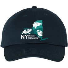 Load image into Gallery viewer, NY Master Naturalist Program Hat
